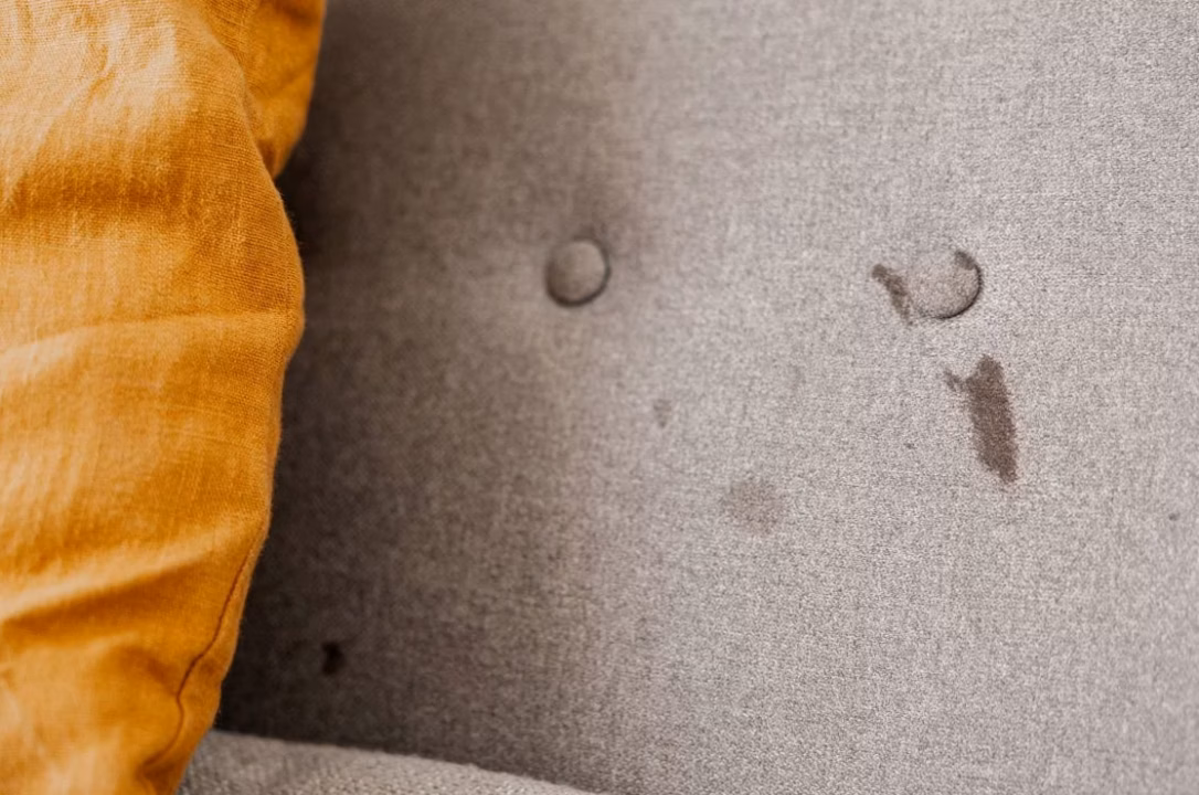 La chemise de nuit réinvente l’été : le retour inattendu d’un classique rétro sur le devant de la scène mode