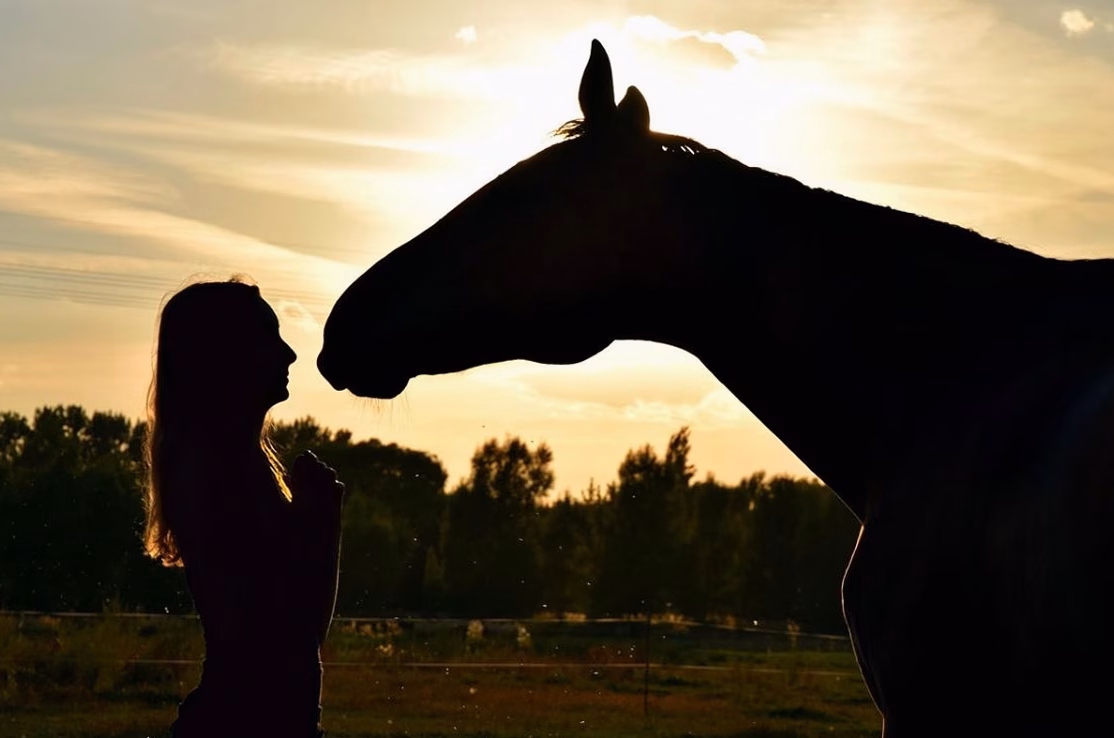 Femme cheval sexe : définition et explications