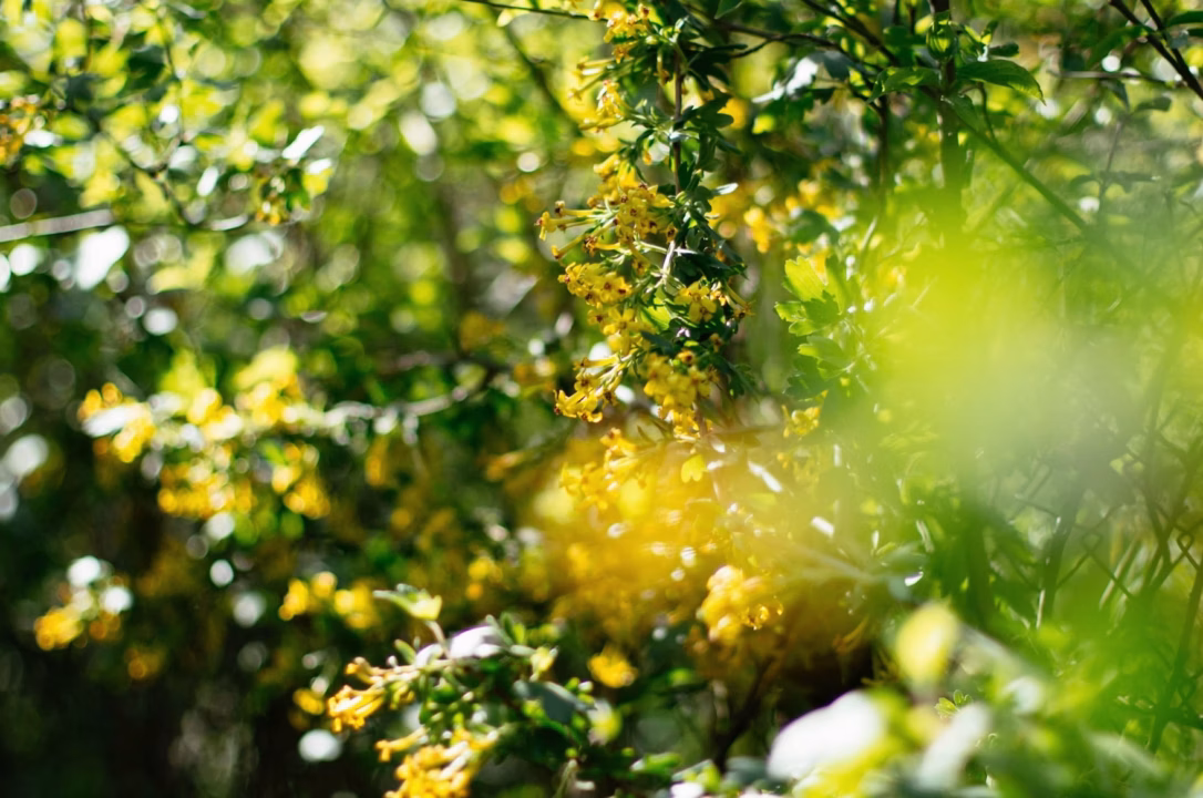Ce soin nourrissant, l&rsquo;allié idéal pour une peau protégée et éclatante sous le soleil